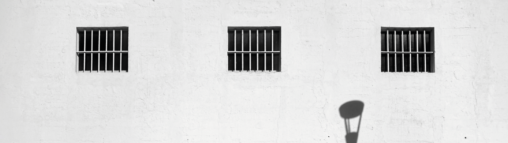 Elsie Monge en la sala de su departamento en Quito. Marzo de 2022. Foto: Karen Toro A.