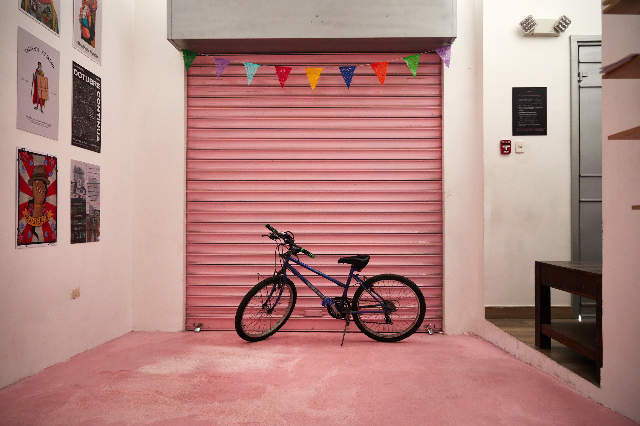Elsie Monge en la sala de su departamento en Quito. Marzo de 2022. Foto: Karen Toro A.