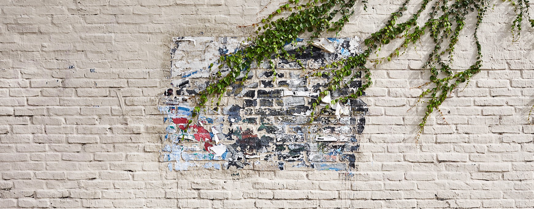 Elsie Monge en la sala de su departamento en Quito. Marzo de 2022. Foto: Karen Toro A.