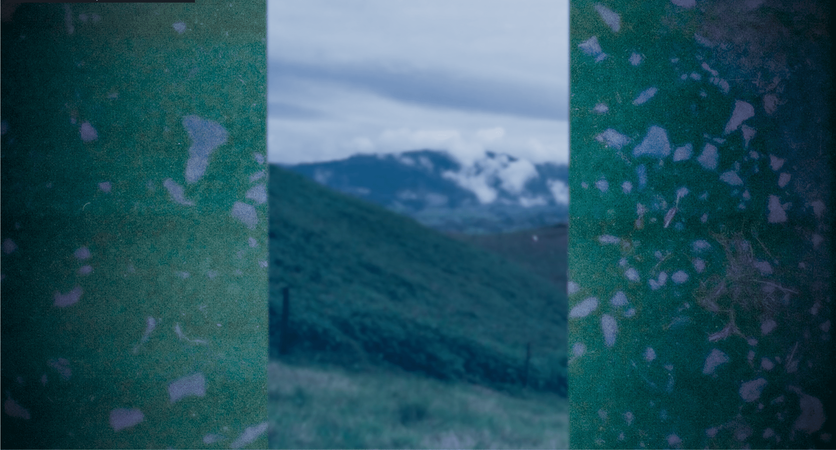 Elsie Monge en la sala de su departamento en Quito. Marzo de 2022. Foto: Karen Toro A.