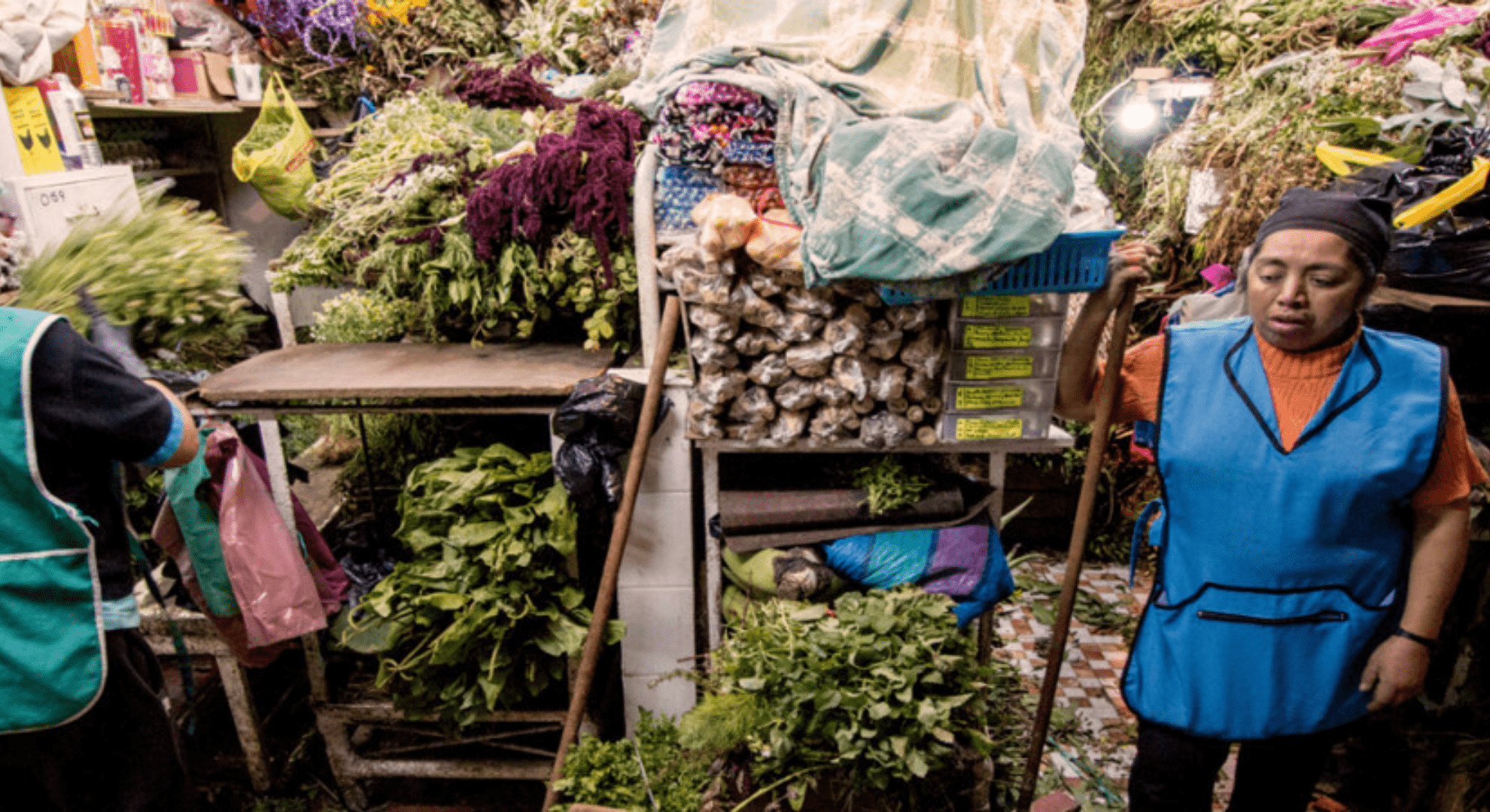 Elsie Monge en la sala de su departamento en Quito. Marzo de 2022. Foto: Karen Toro A.