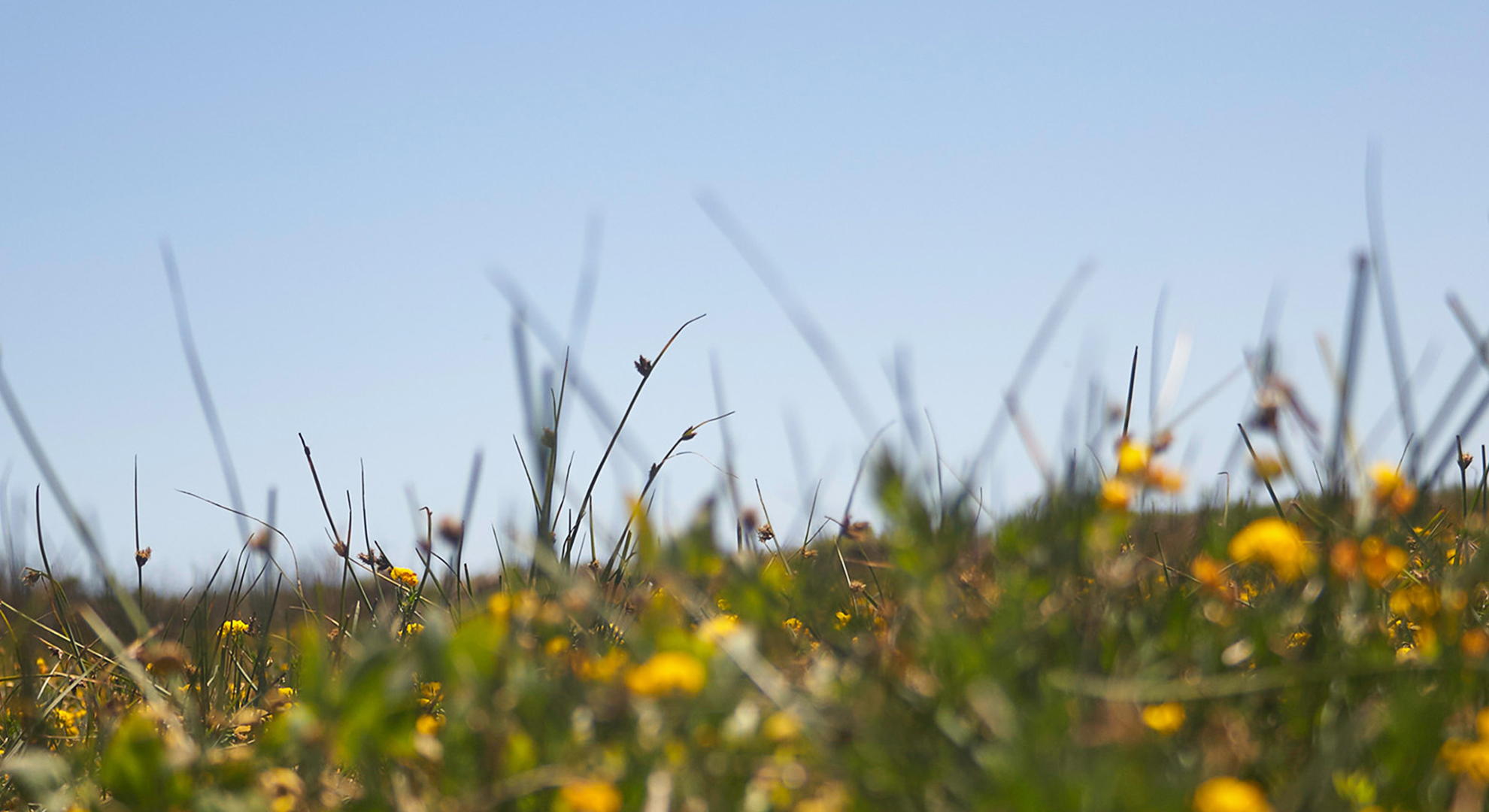 Elsie Monge en la sala de su departamento en Quito. Marzo de 2022. Foto: Karen Toro A.