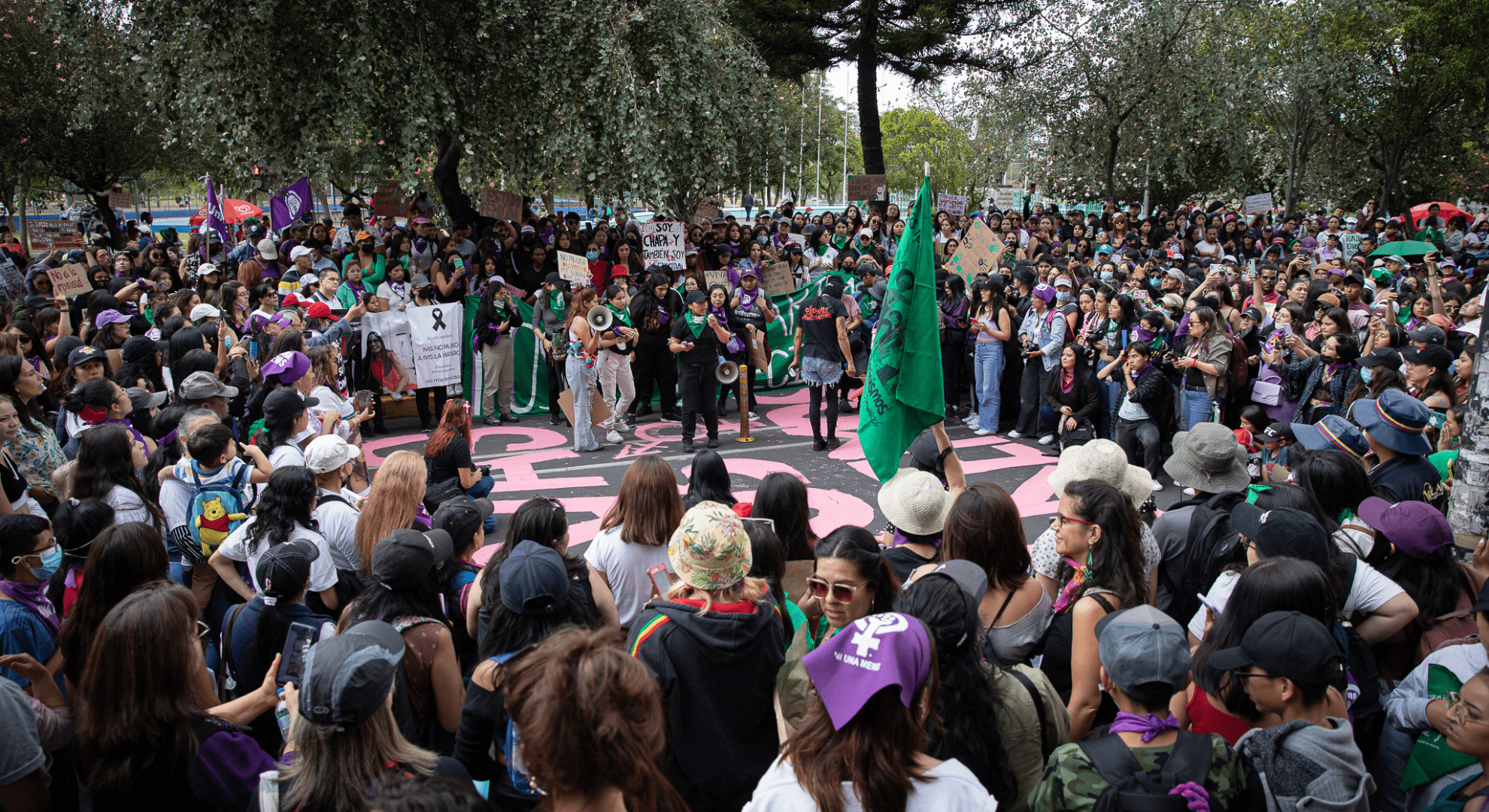 Elsie Monge en la sala de su departamento en Quito. Marzo de 2022. Foto: Karen Toro A.