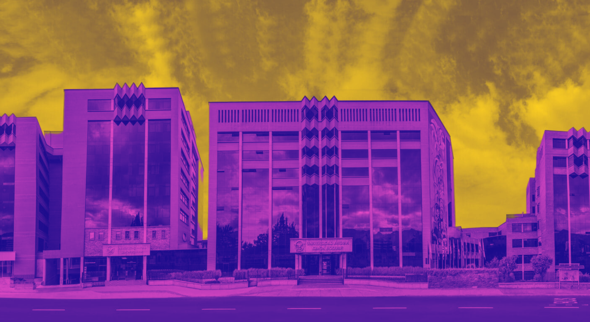 Elsie Monge en la sala de su departamento en Quito. Marzo de 2022. Foto: Karen Toro A.