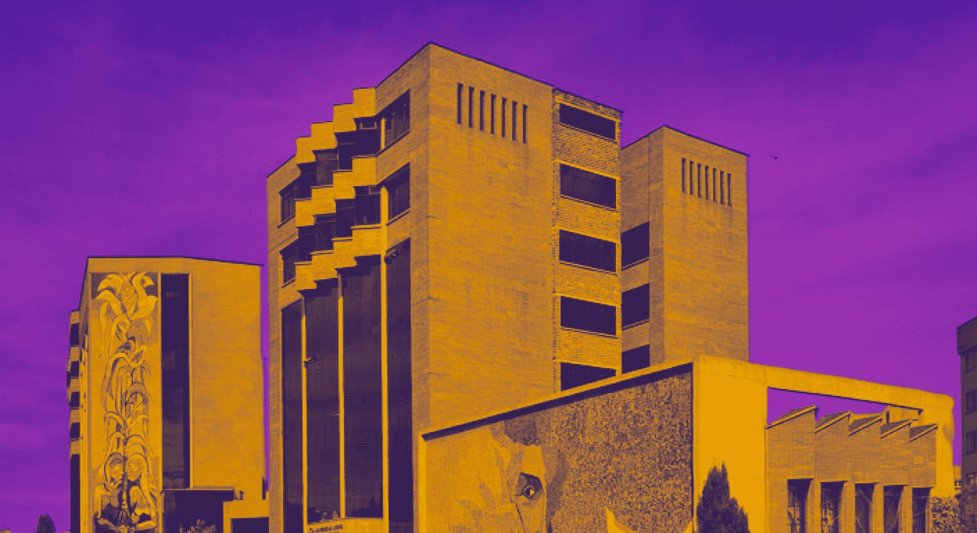 Elsie Monge en la sala de su departamento en Quito. Marzo de 2022. Foto: Karen Toro A.